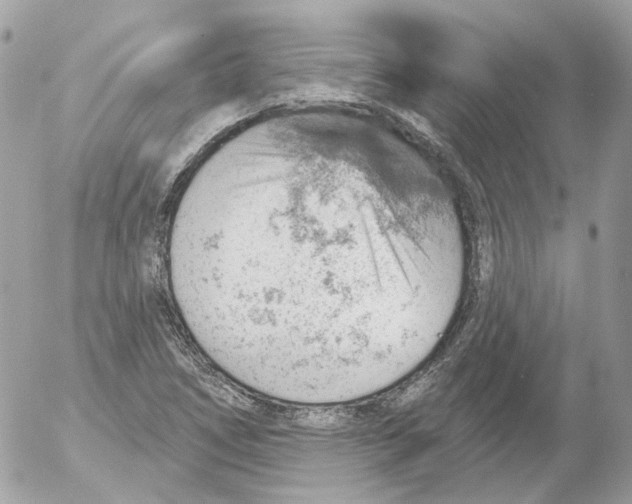 X0000052641266200507292256