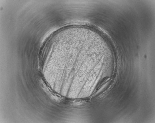 X0000052641267200507292256