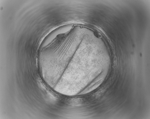 X0000052641268200507292256