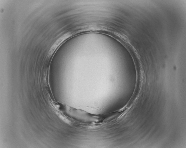 X0000052641273200507292256