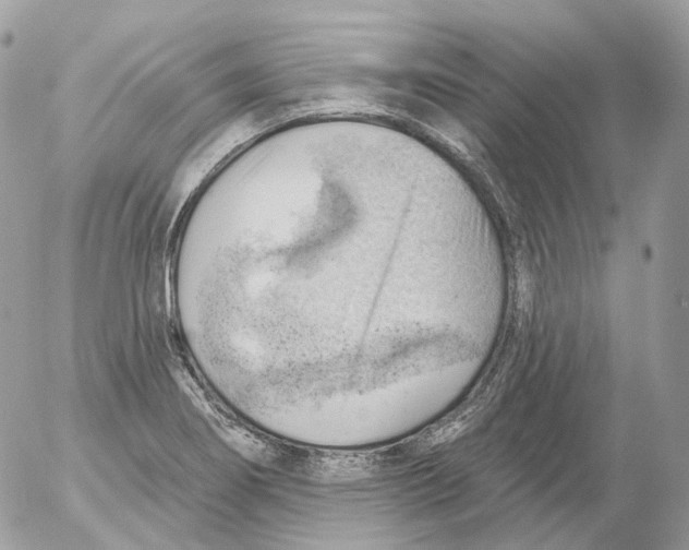 X0000052641274200507292256