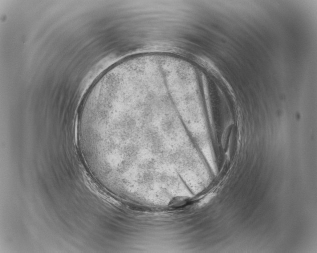 X0000052641276200507292256