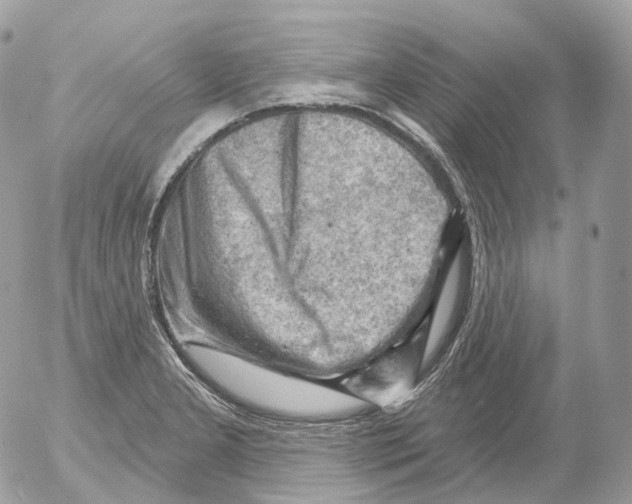 X0000052641277200507292256