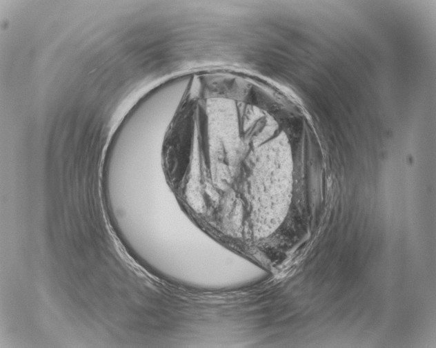 X0000052641279200507292256