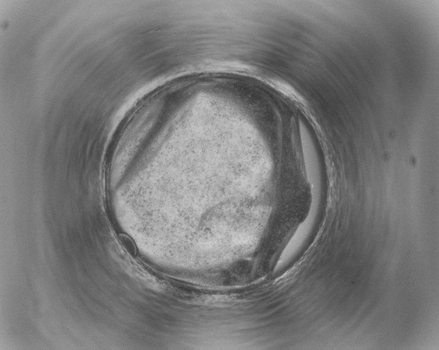 X0000052641280200507292256