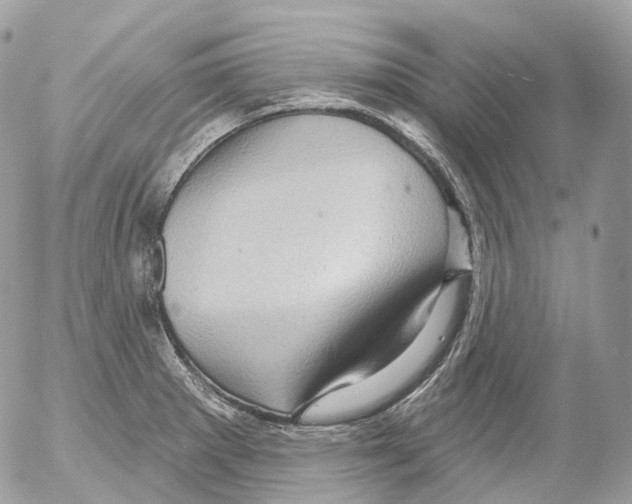 X0000052641281200507292256