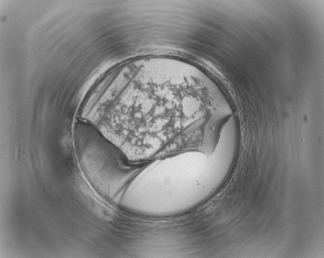 X0000052641283200507292256