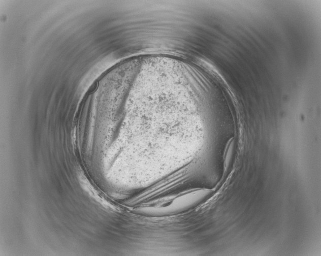 X0000052641284200507292256