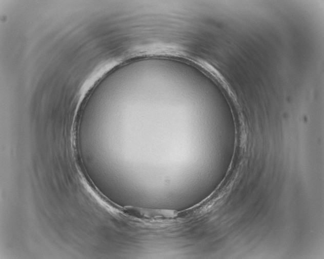 X0000052641285200507292256