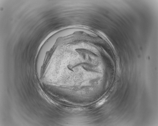 X0000052641292200507292256