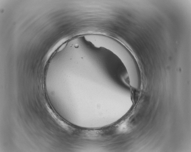 X0000052641293200507292256