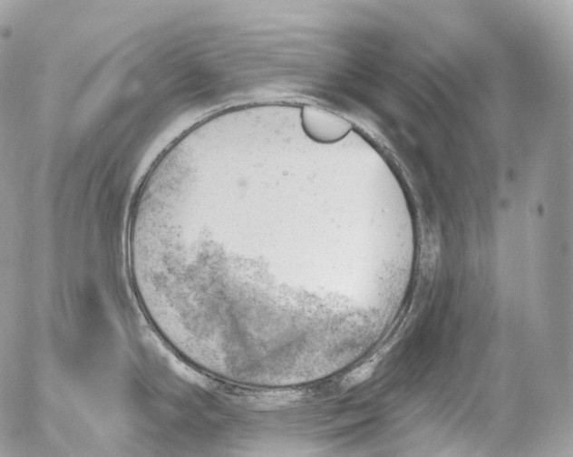 X0000052641294200507292256