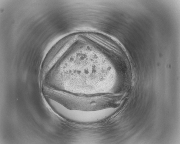 X0000052641295200507292256