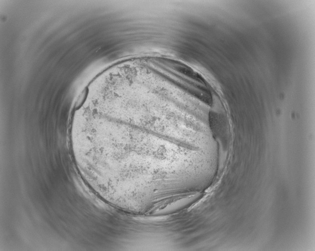 X0000052641296200507292256