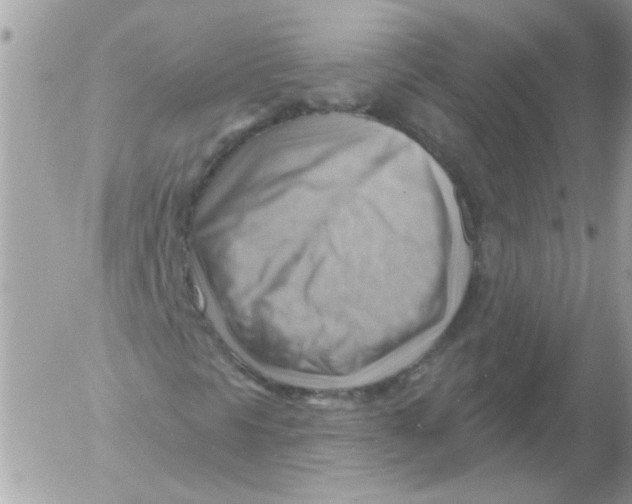 X0000052641297200507292255