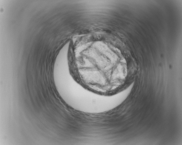 X0000052641298200507292255