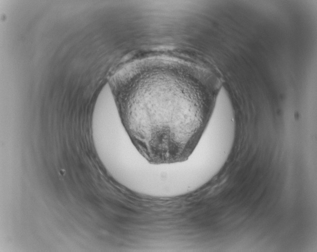 X0000052641299200507292255