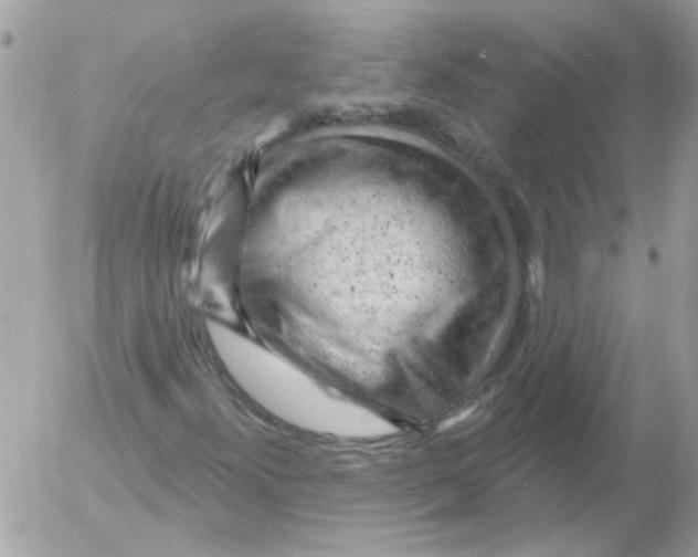 X0000052641300200507292255