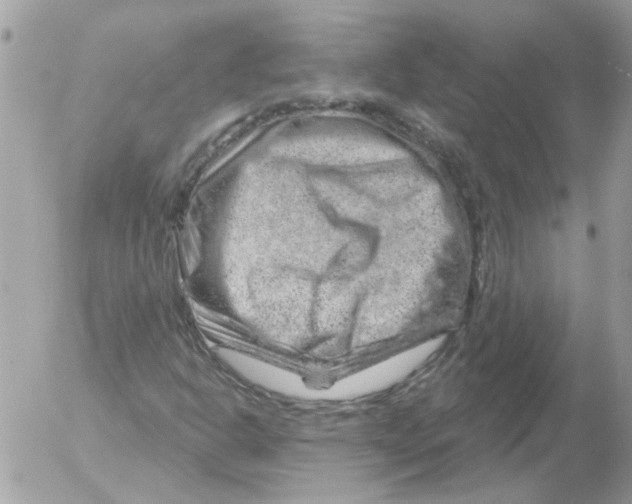 X0000052641302200507292255