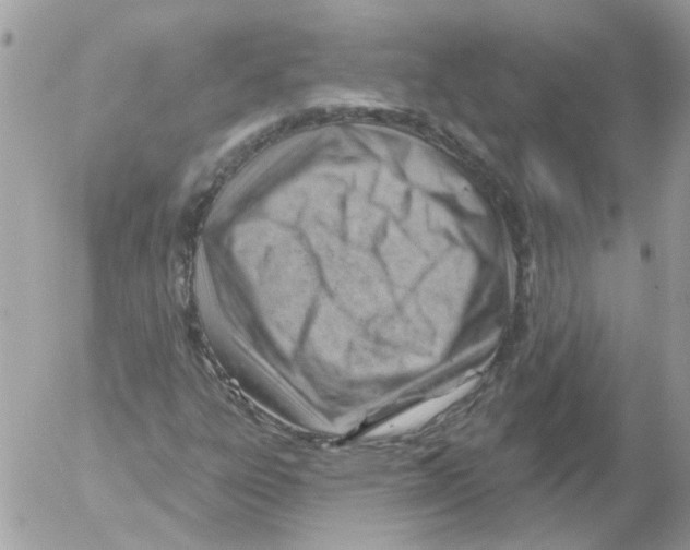 X0000052641303200507292255