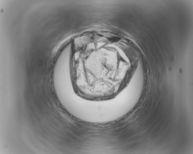 X0000052641304200507292255