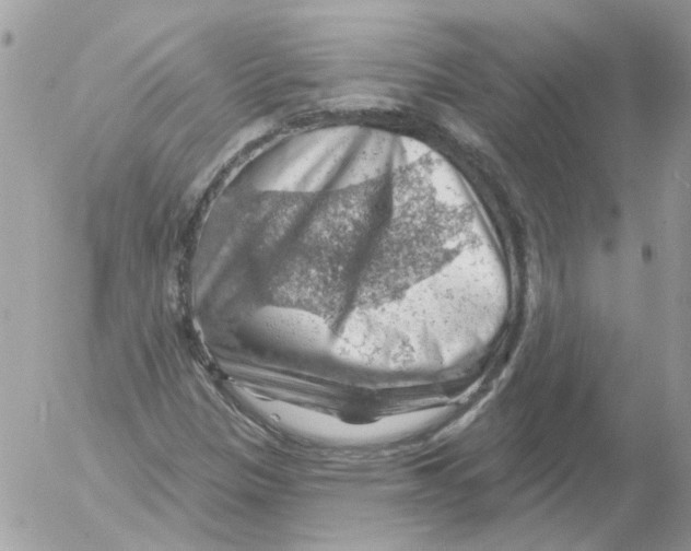 X0000052641305200507292255