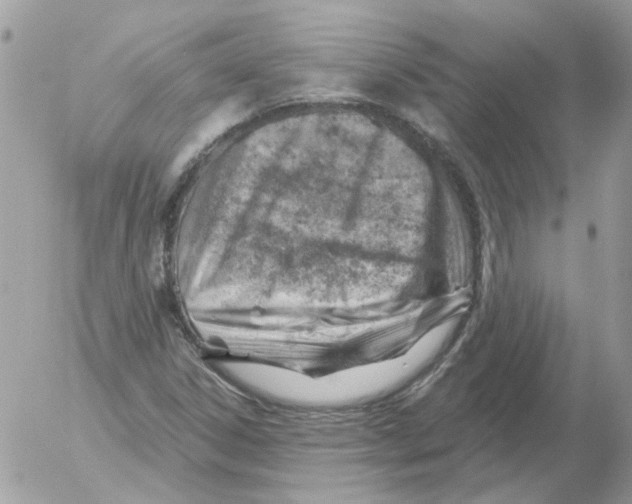 X0000052641306200507292255