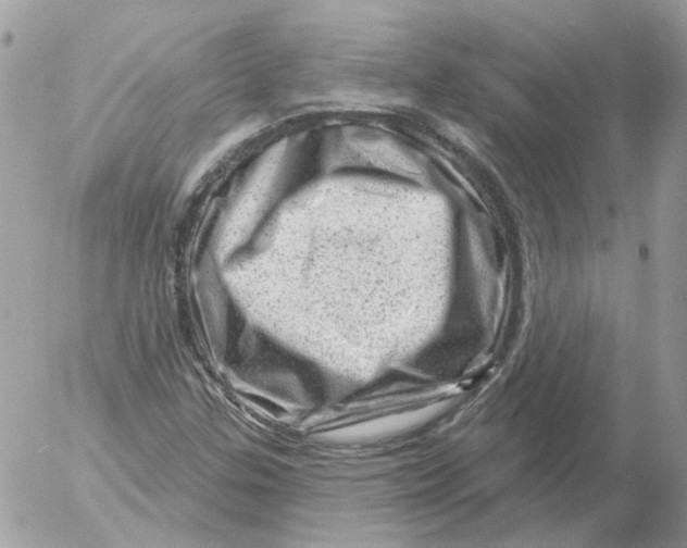 X0000052641307200507292255