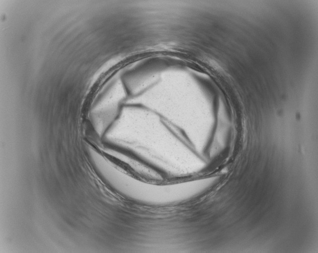 X0000052641308200507292255