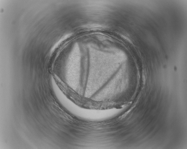 X0000052641309200507292255