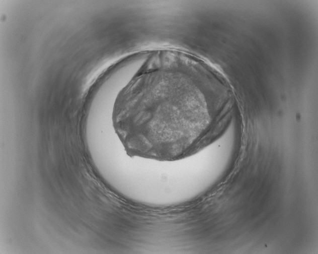 X0000052641311200507292255