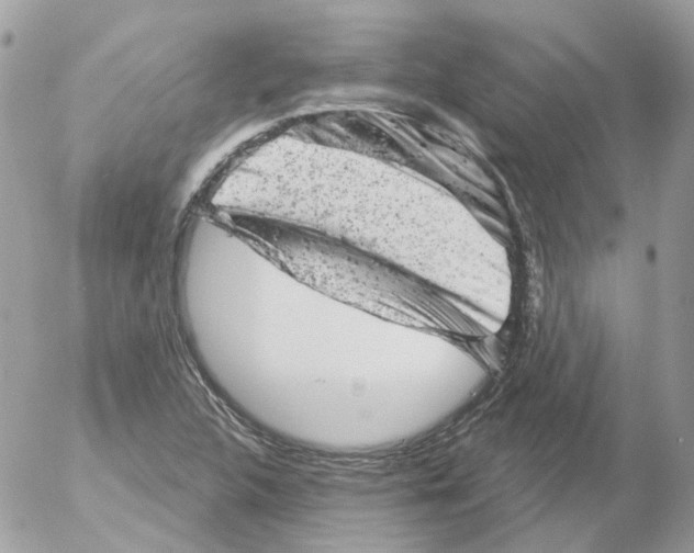 X0000052641312200507292255