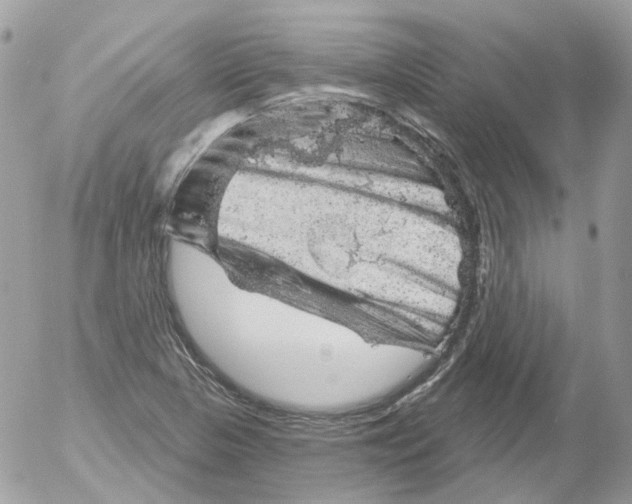 X0000052641313200507292255