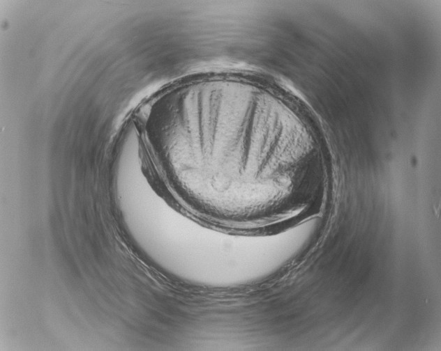 X0000052641315200507292255