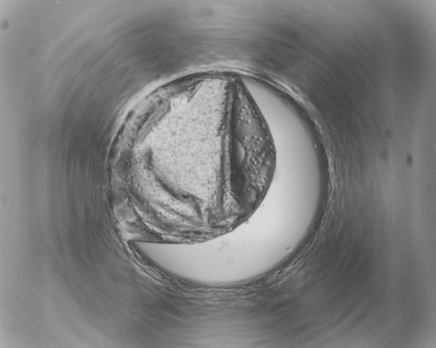 X0000052641316200507292255