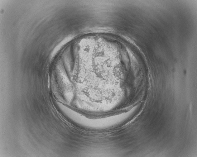 X0000052641317200507292255