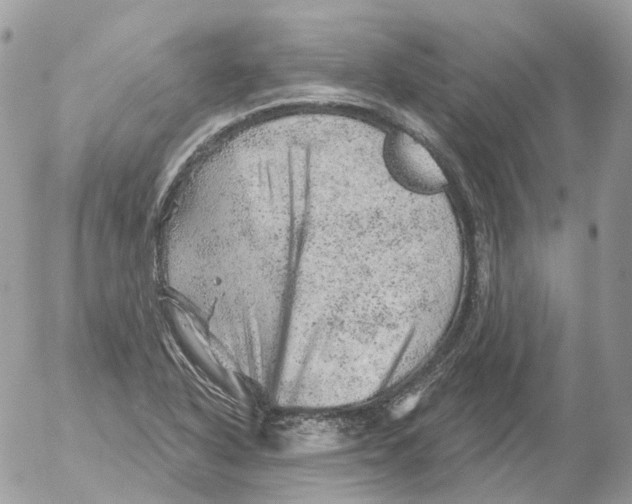 X0000052641318200507292255