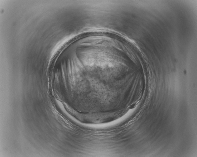 X0000052641319200507292255