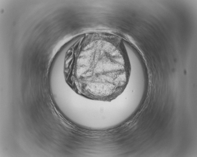 X0000052641320200507292255