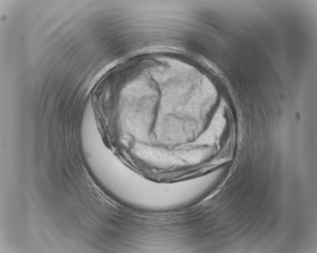 X0000052641321200507292255