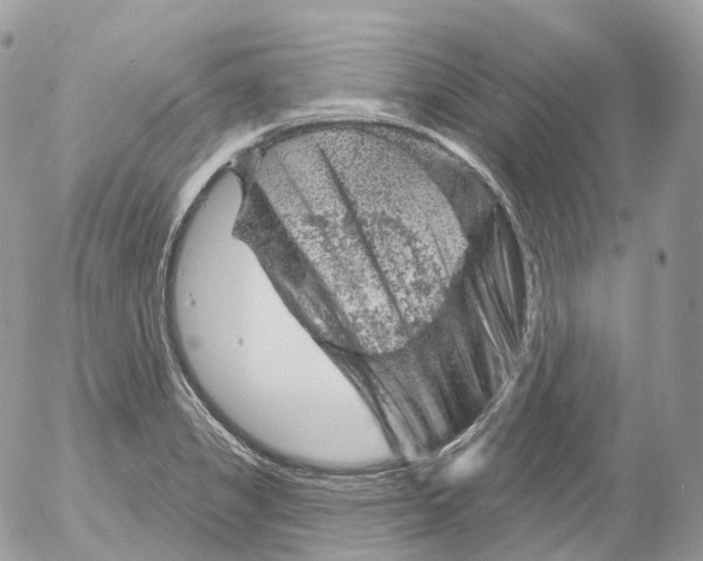 X0000052641325200507292255