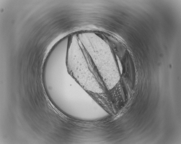 X0000052641326200507292255