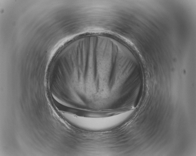 X0000052641327200507292255