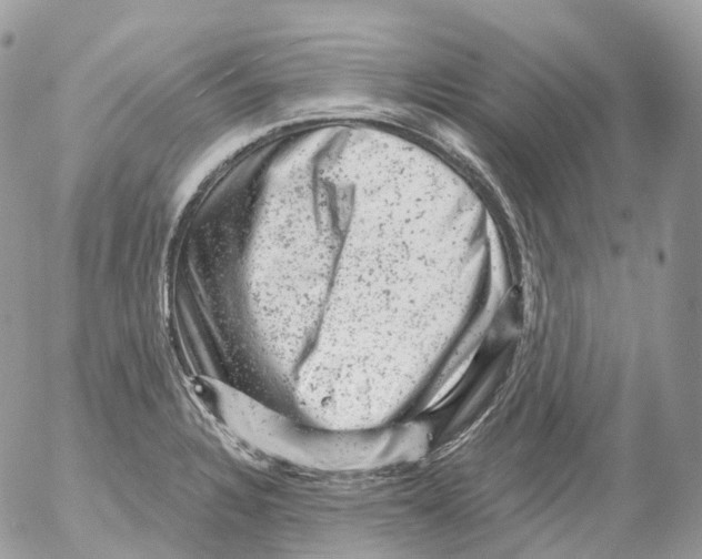 X0000052641328200507292255