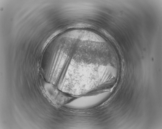 X0000052641329200507292255