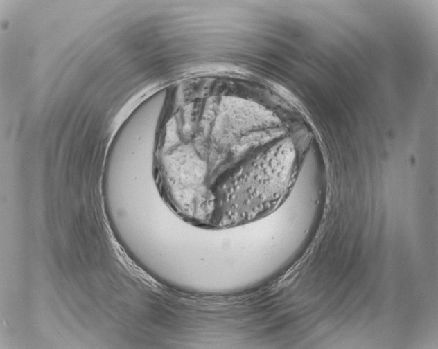 X0000052641330200507292255