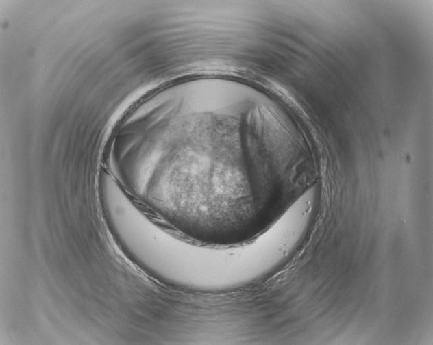 X0000052641331200507292255