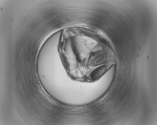 X0000052641332200507292255