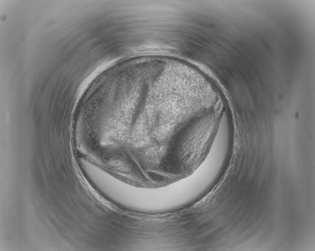 X0000052641333200507292255