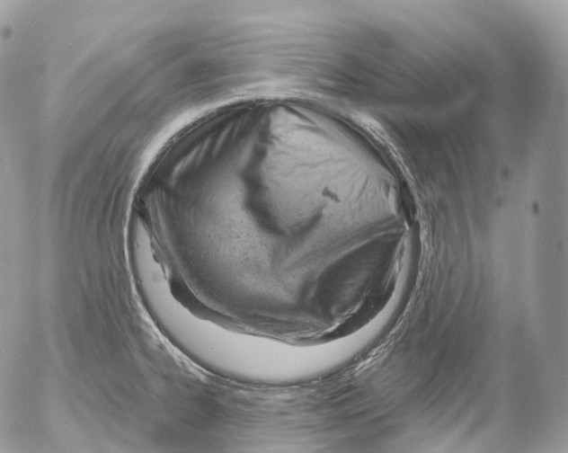 X0000052641334200507292255